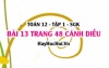 Bài 13 trang 48 Toán 12 tập 1 Cánh Diều